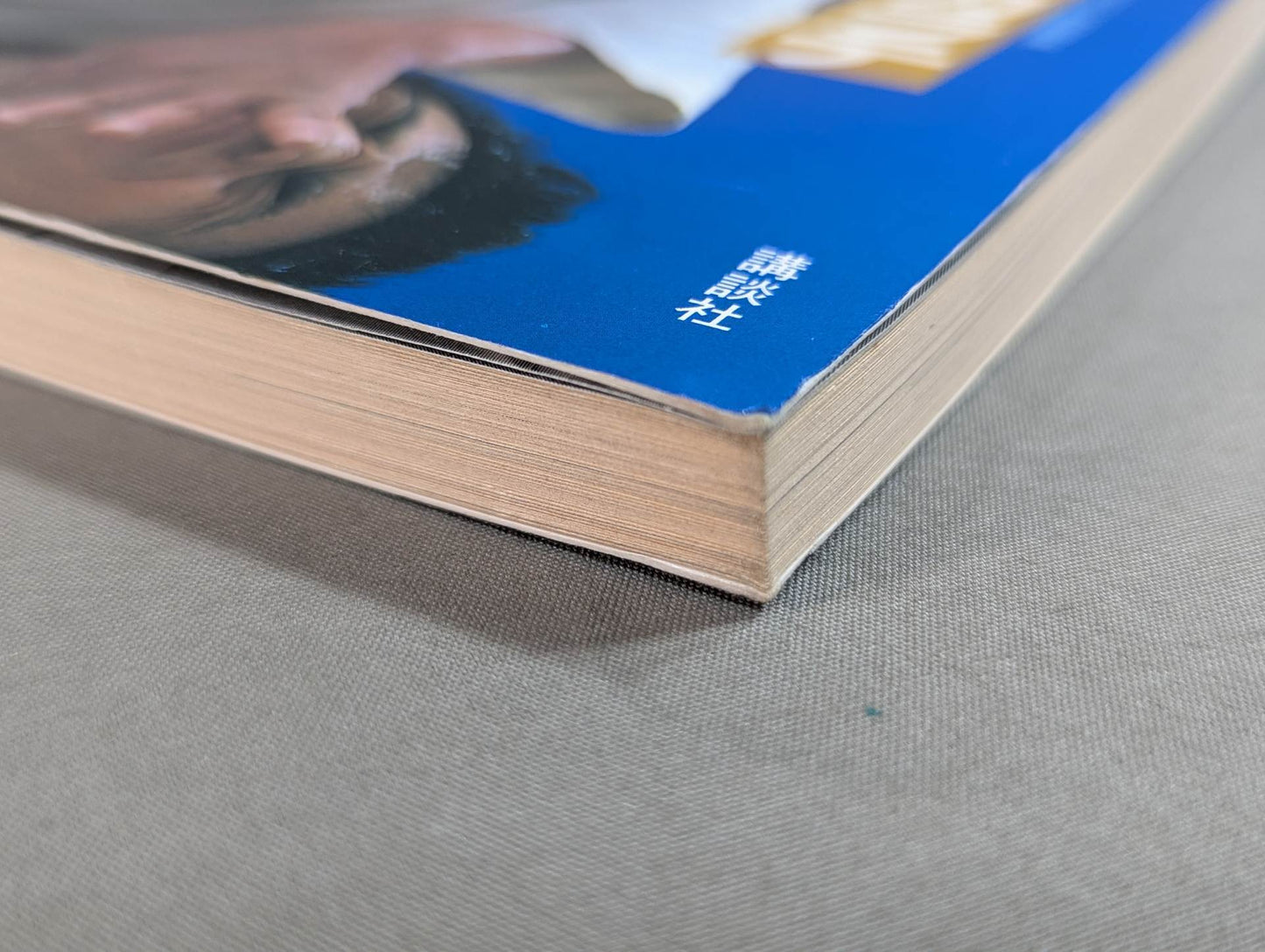 実戦!芦原カラテ STREET FIGHT