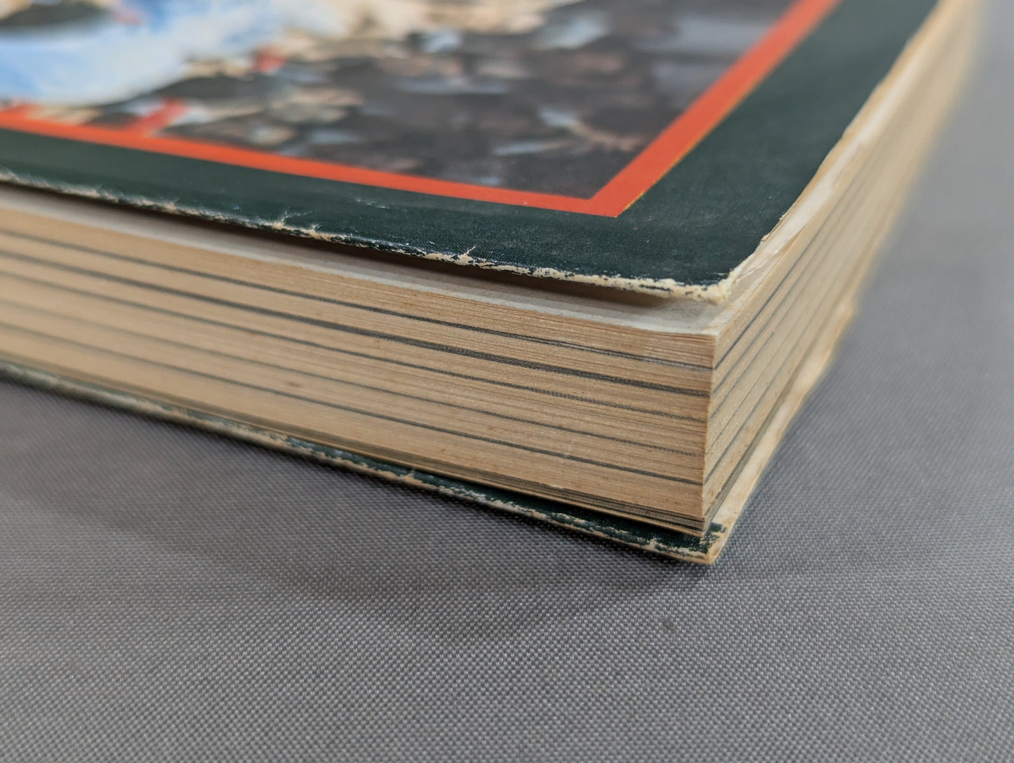 Okinawa Star Okinawa Star Yoko Gushiken Wanya Crested Eagle