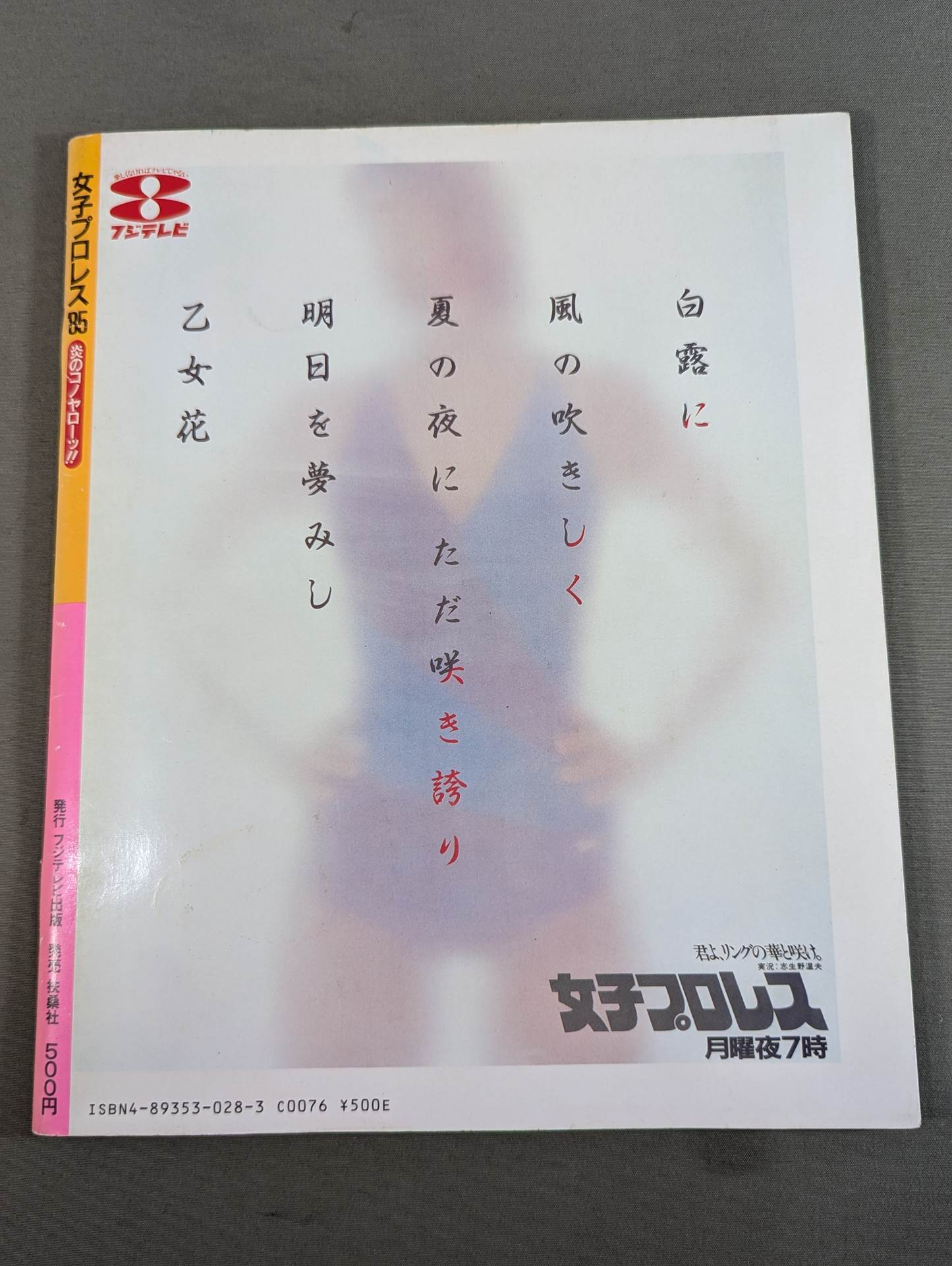 女子プロレス’85 炎のコノヤローッ!!
