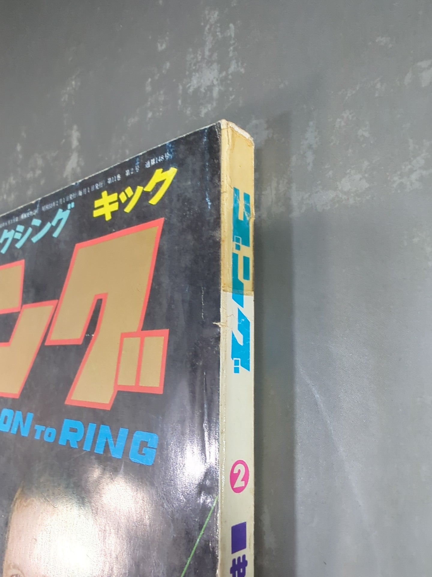 月刊ゴングVol.11 No.2