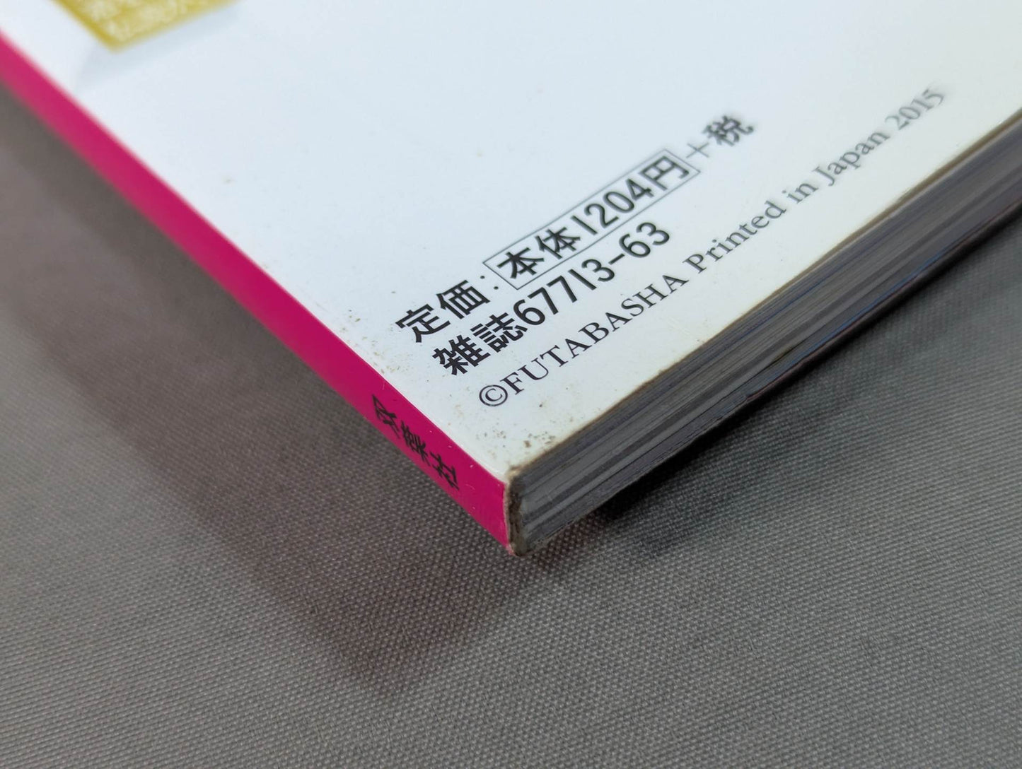 DDT公式ファンブック THIS IS DDT