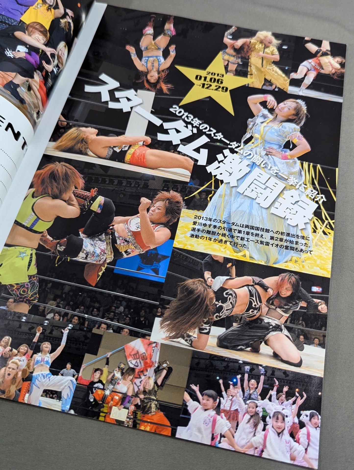 STARDOM YEAR BOOK 2013