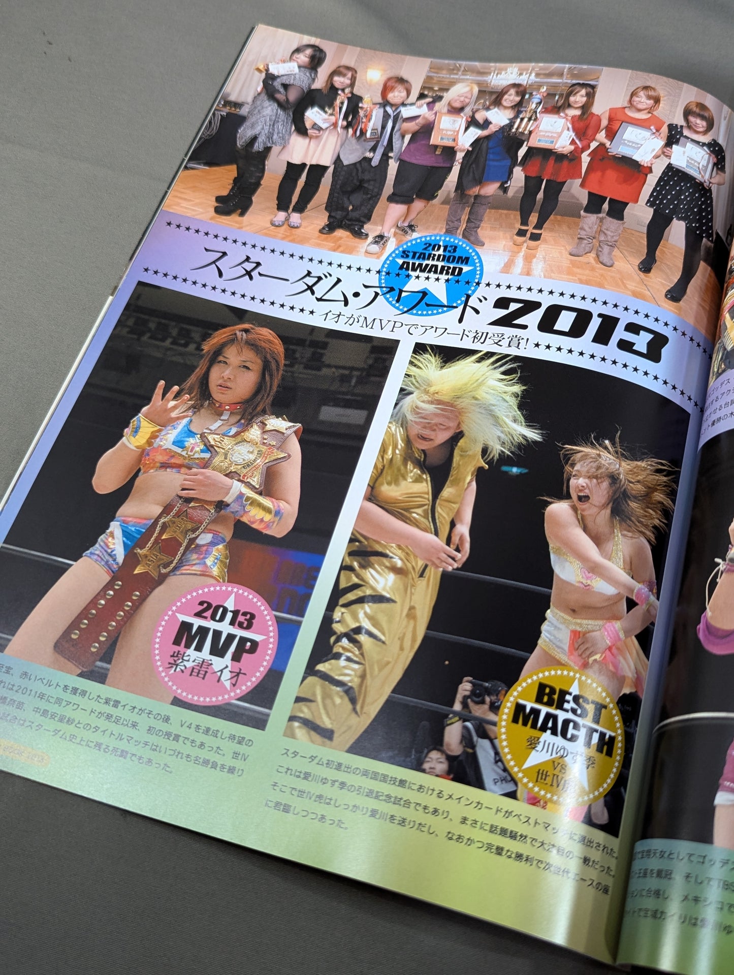 STARDOM YEAR BOOK 2013