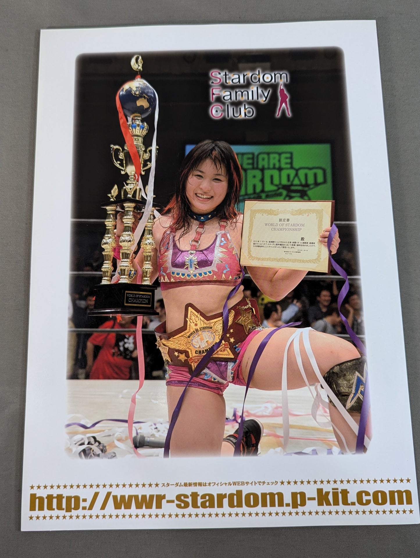 STARDOM YEAR BOOK 2013