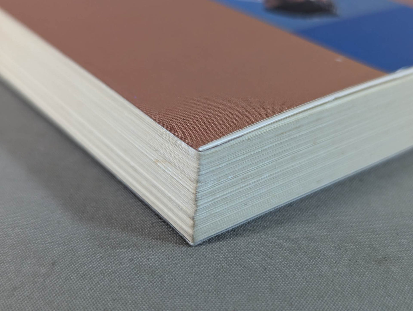 空手に燃え空手に生きる ケンカ十段のサバキ人生