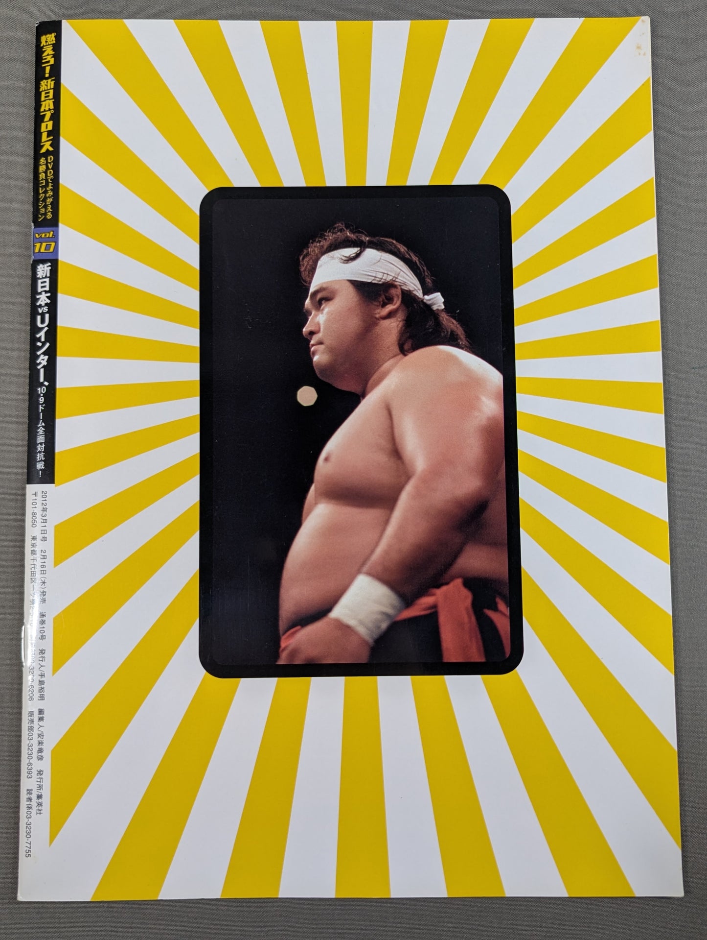 Burn! New Japan Pro Wrestling vol.10