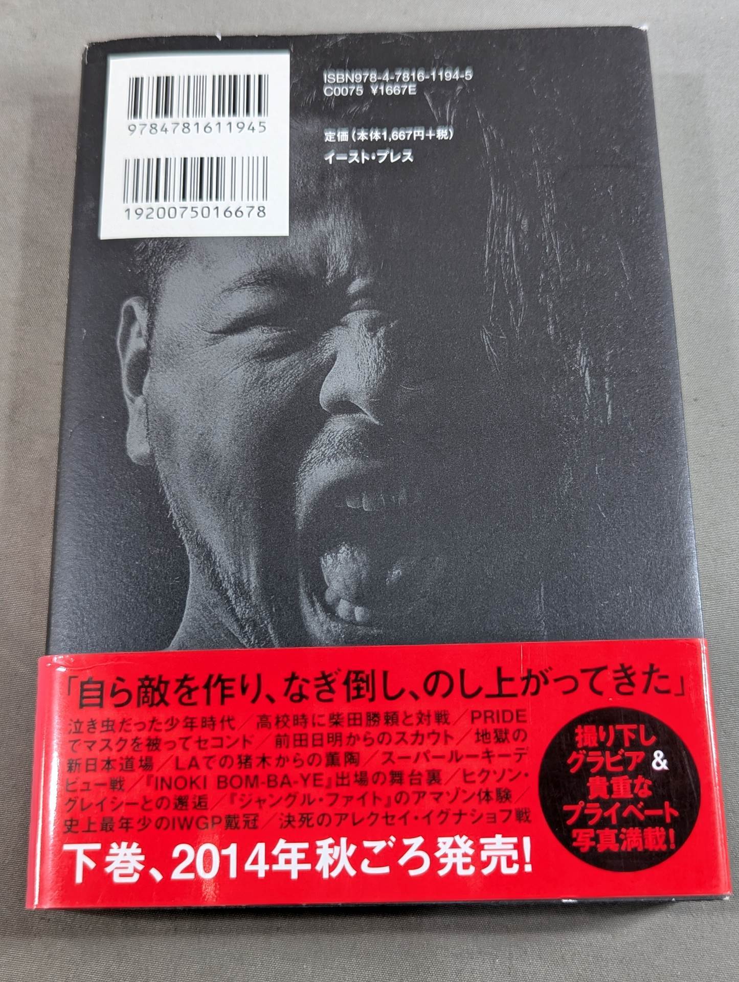 中邑真輔自伝 キング・オブ・ストロングスタイル 1980-2004 上巻