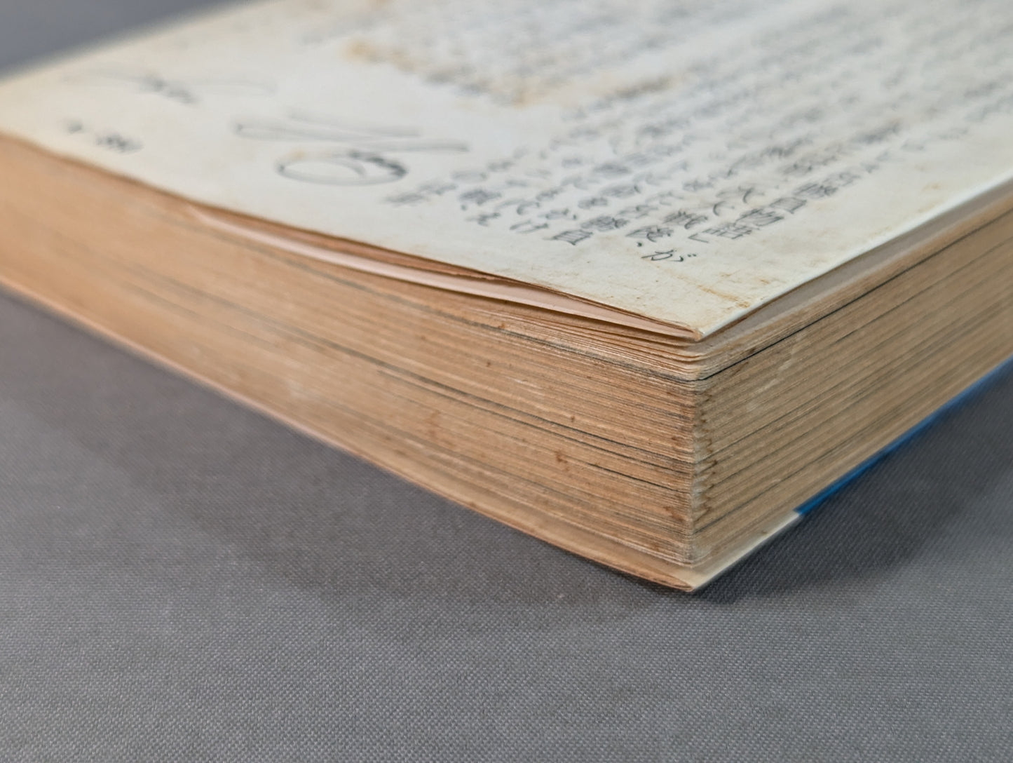 Pro Wrestling Legend