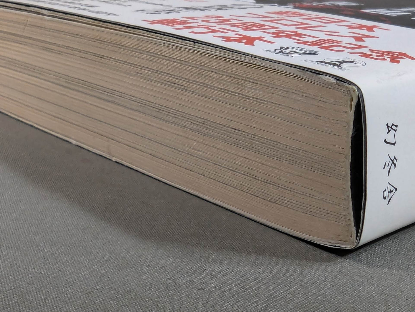 烈闘生 傷だらけの履歴書