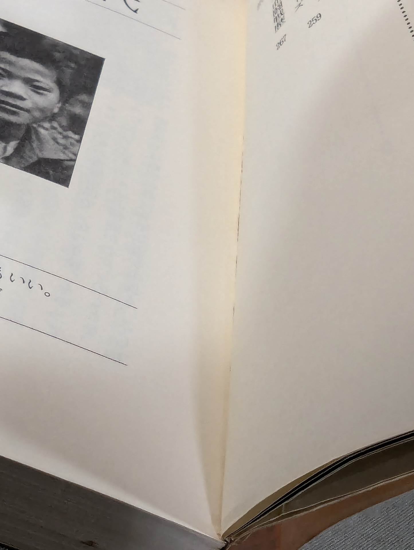 Burn the Fighting Spirit Antonio Inoki Autobiography (cover illustration version)