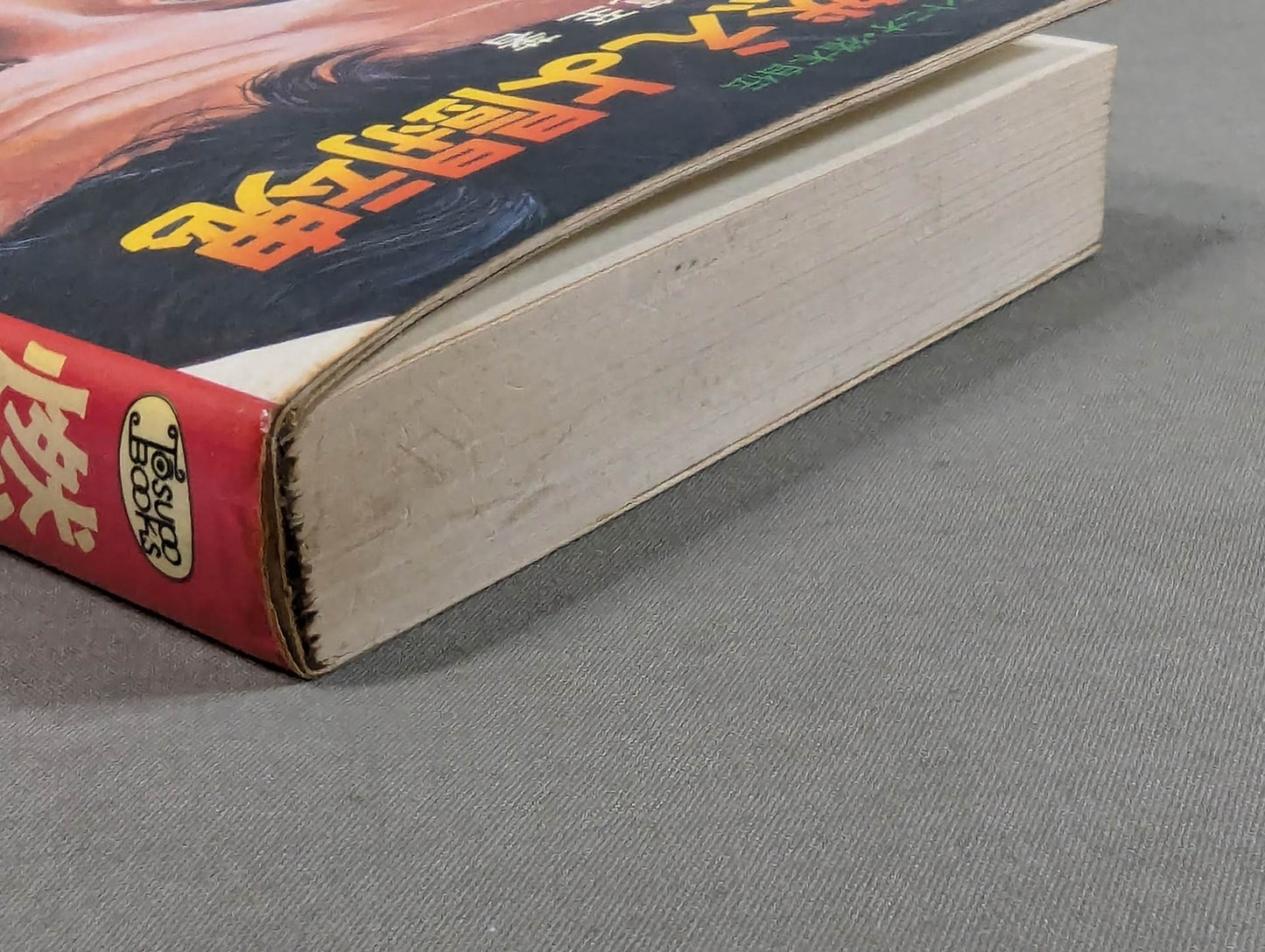 Burn the Fighting Spirit Antonio Inoki Autobiography (cover illustration version)