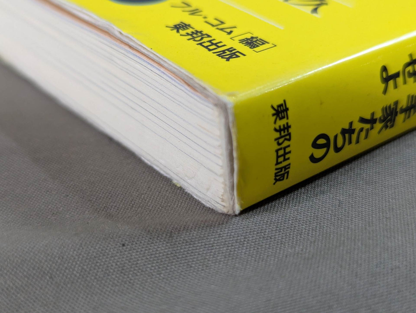 【DVD付】達人シリーズ第弐巻 蘇る空手最強伝説