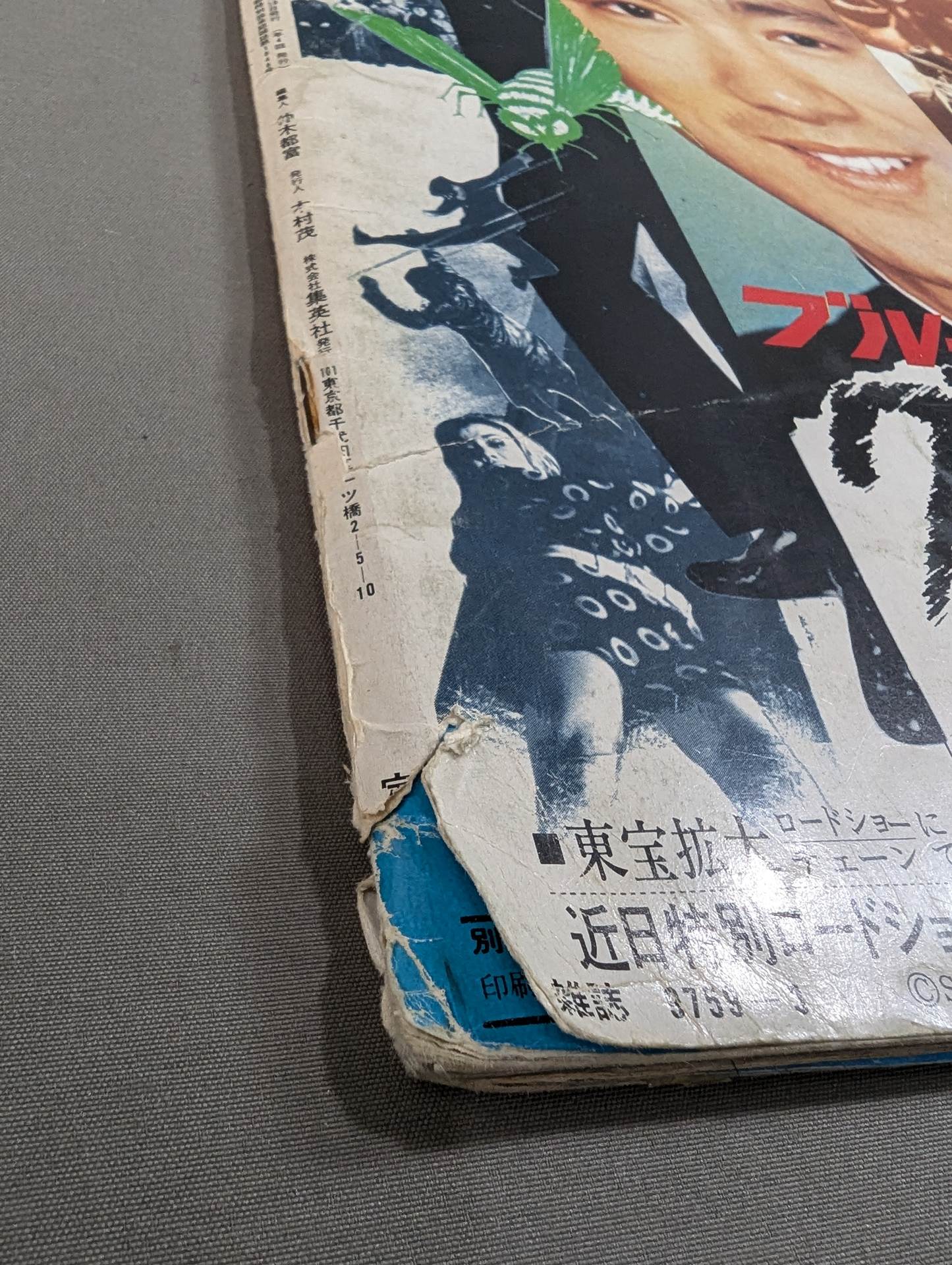 Bessatsu Roadshow Spring Issue ★ Definitive Edition! The Last Bruce Lee Special Issue ★