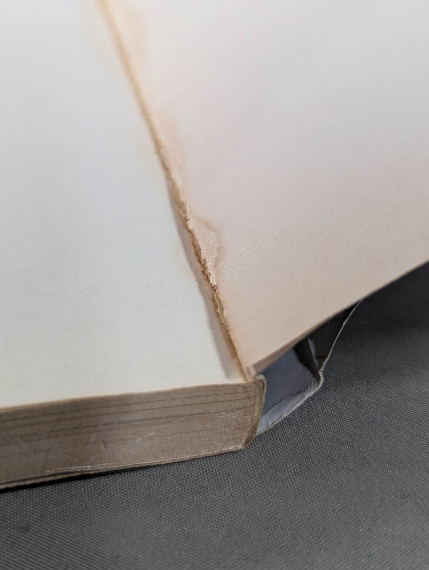 燃えよ士道魂 わが青春の闘い