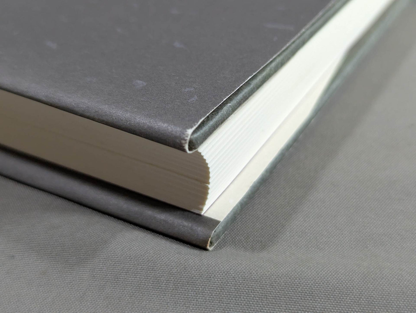 The spirit of Kyokushin What should martial arts be like in the future