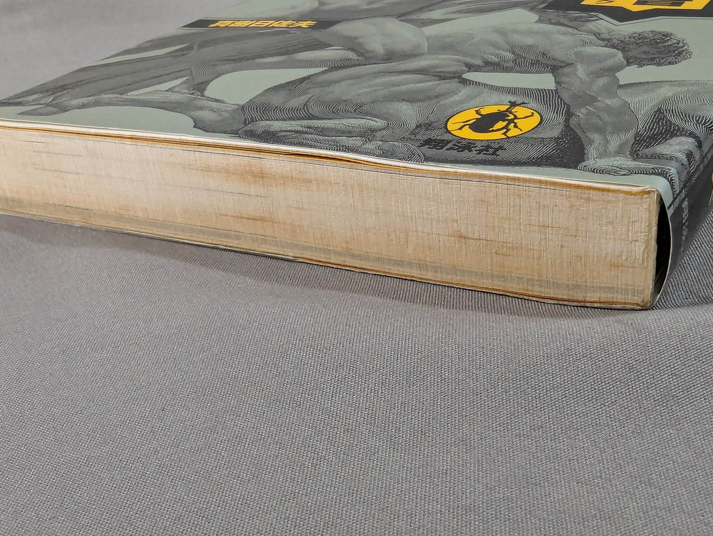 The Bible of "Fighting" Self-Defense Practice Handbook for the General Public