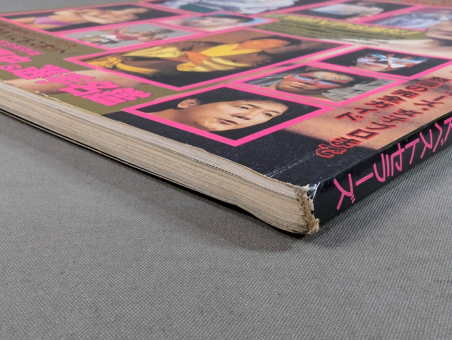 95 プロレス年鑑 SUPER HAND BOOK!