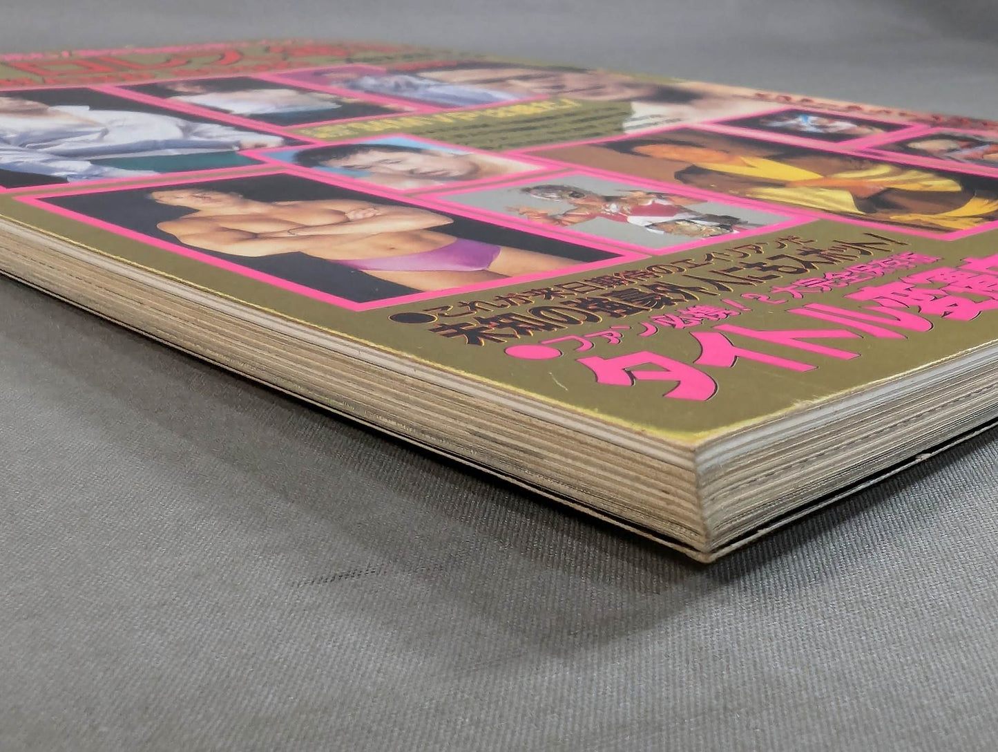 95 プロレス年鑑 SUPER HAND BOOK!