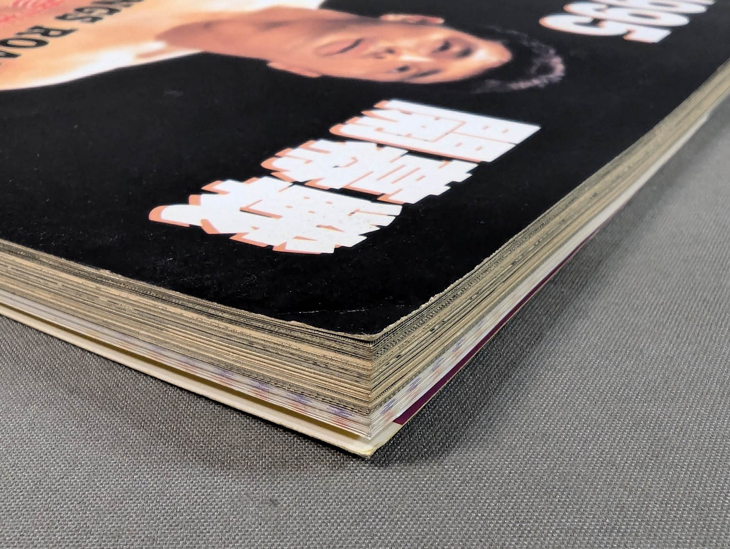 95 プロレス年鑑 SUPER HAND BOOK!