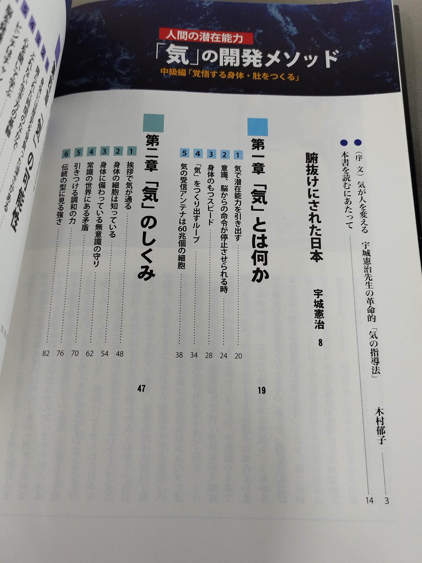 Human Potential Qi Development Method Intermediate Edition Creating a Prepared Body and Elbow