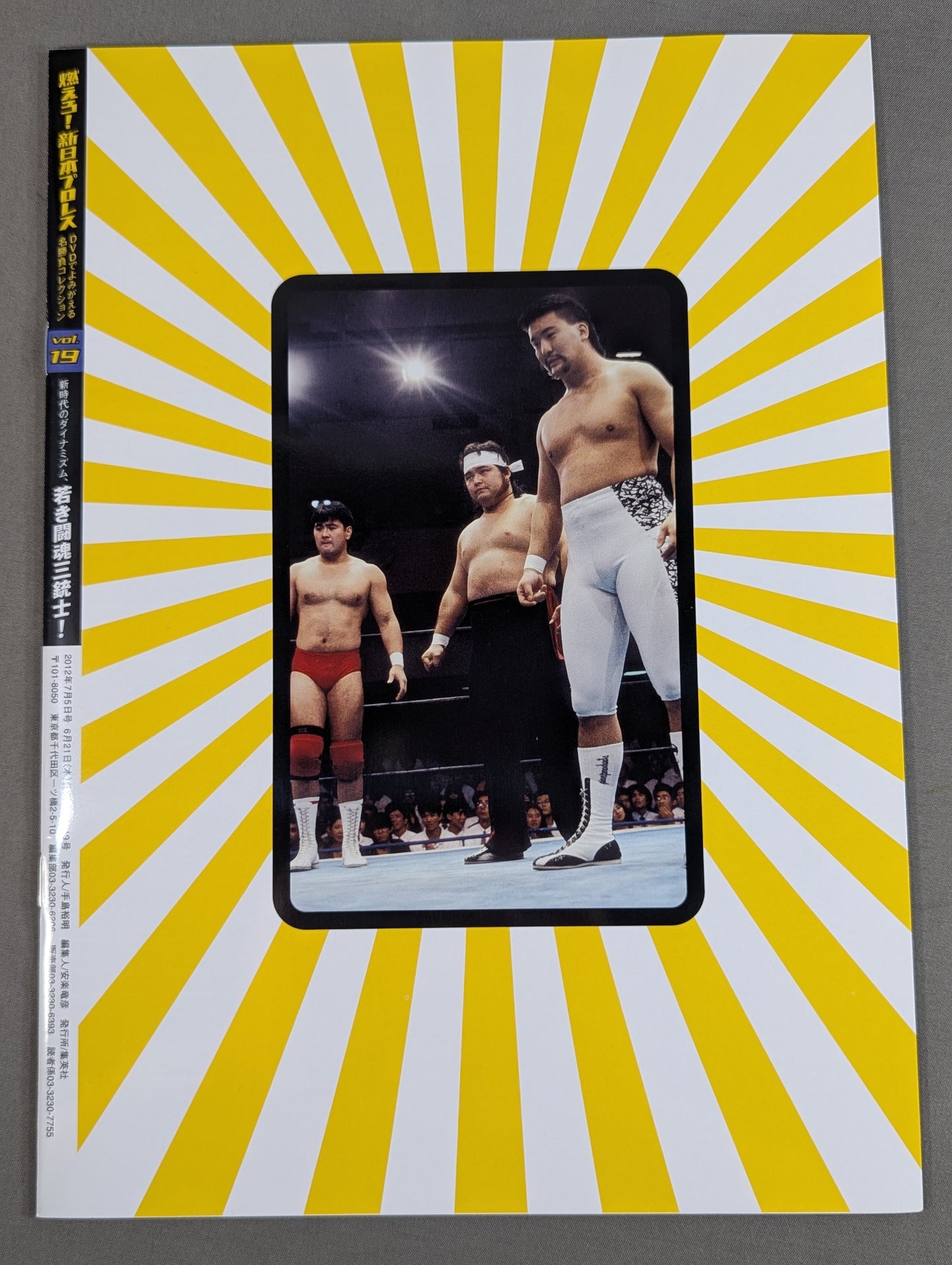 Burn! New Japan Pro Wrestling vol.19