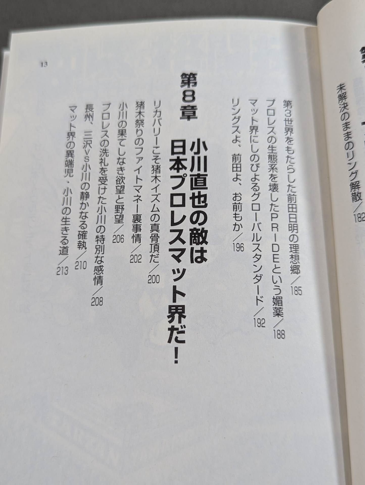 プロレスvs格闘技 カリスマ大戦争