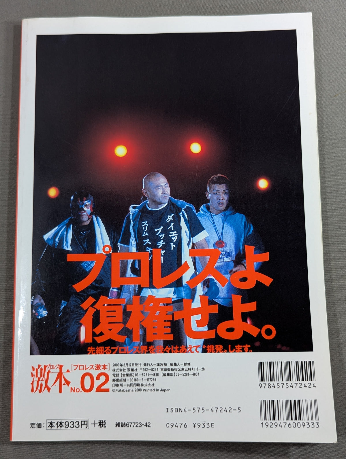 Pro Wrestling No.2