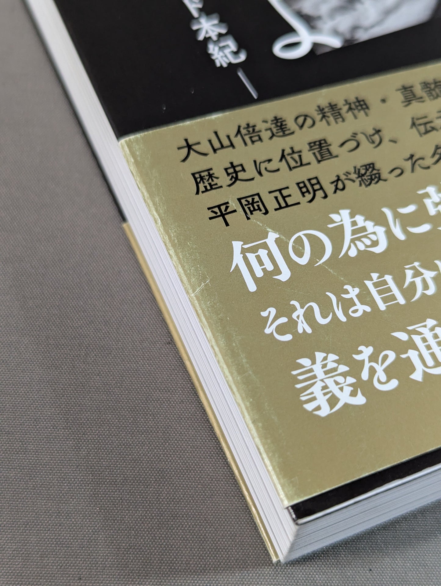 大山倍達を信じよ ゴッドハンド本紀