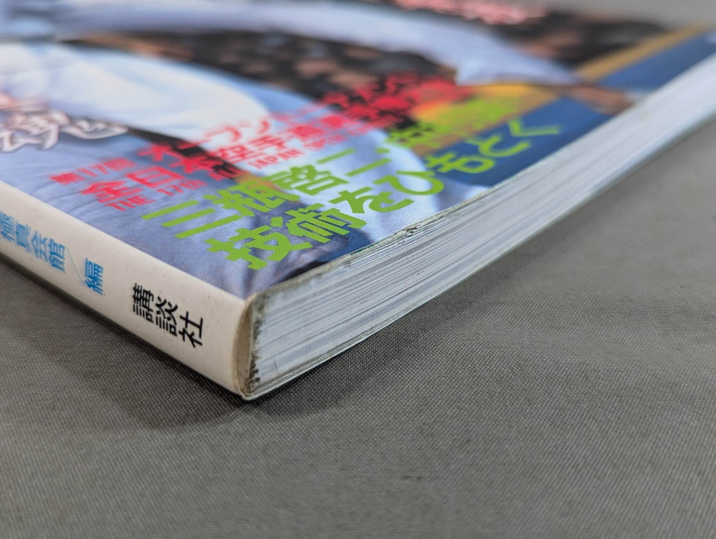 Kyokushin KARATE Yearbook No. 6 Burn Rough Techniques Kyokushin Soul