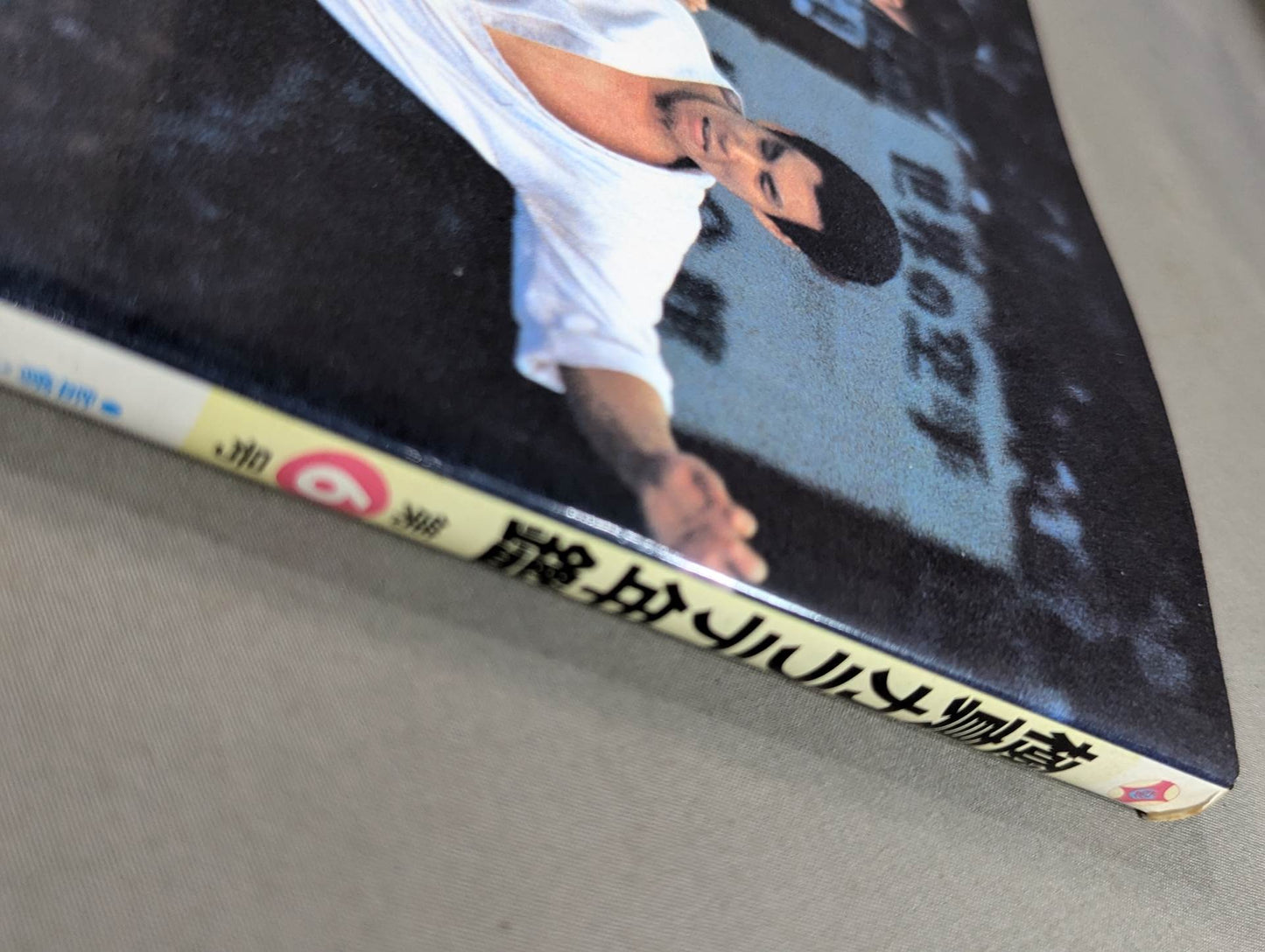 Kyokushin KARATE Yearbook No. 6 Burn Rough Techniques Kyokushin Soul