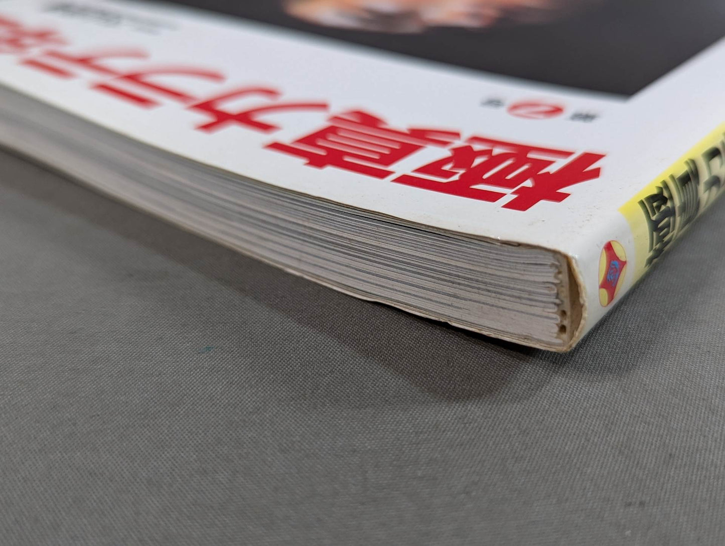 Kyokushin KARATE Yearbook No. 7 Spreading its wings to the world Kyokushin Soul