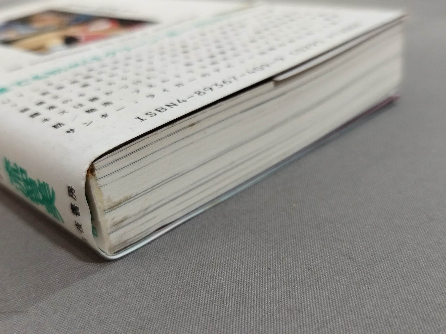 Continued: A book that shows Pro Wrestling terribly