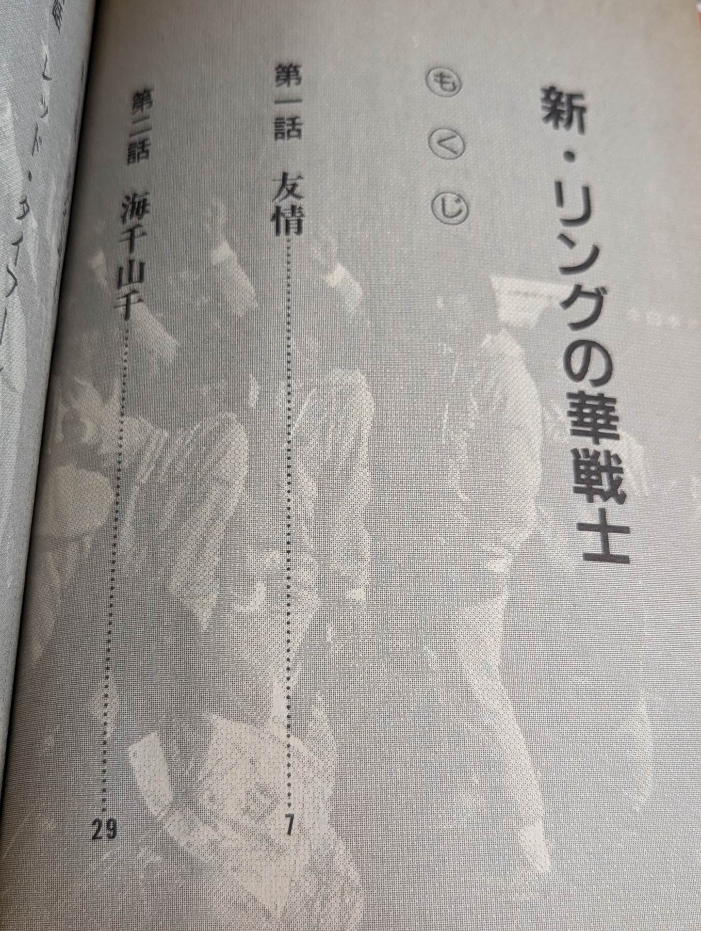 女子プロレス物語Ⅱ 新・リングの華戦士