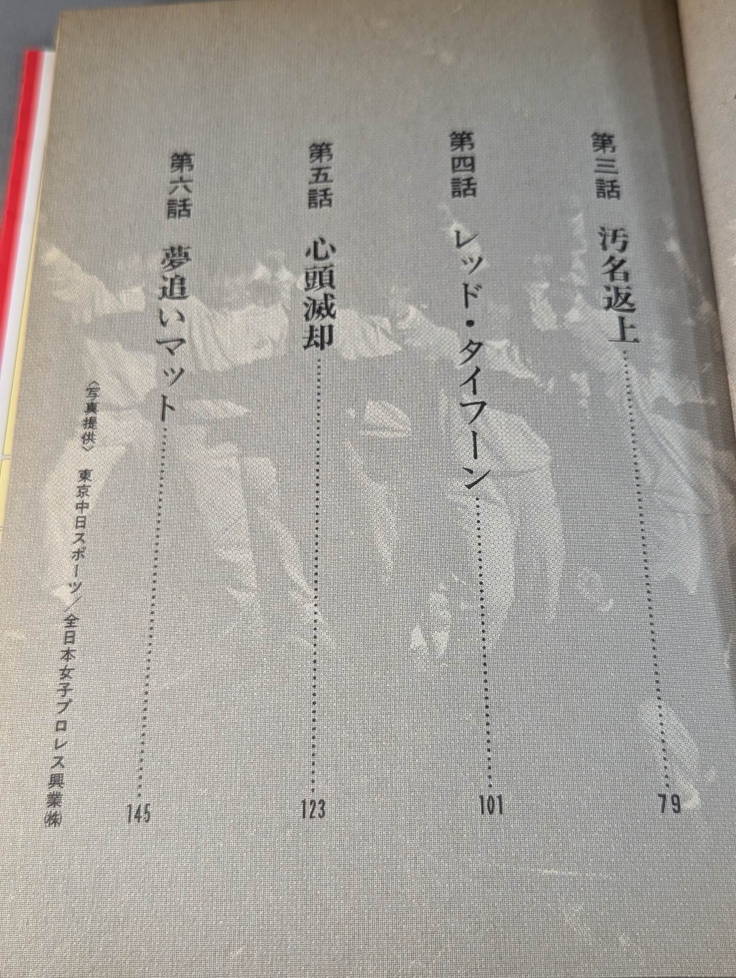 女子プロレス物語Ⅱ 新・リングの華戦士