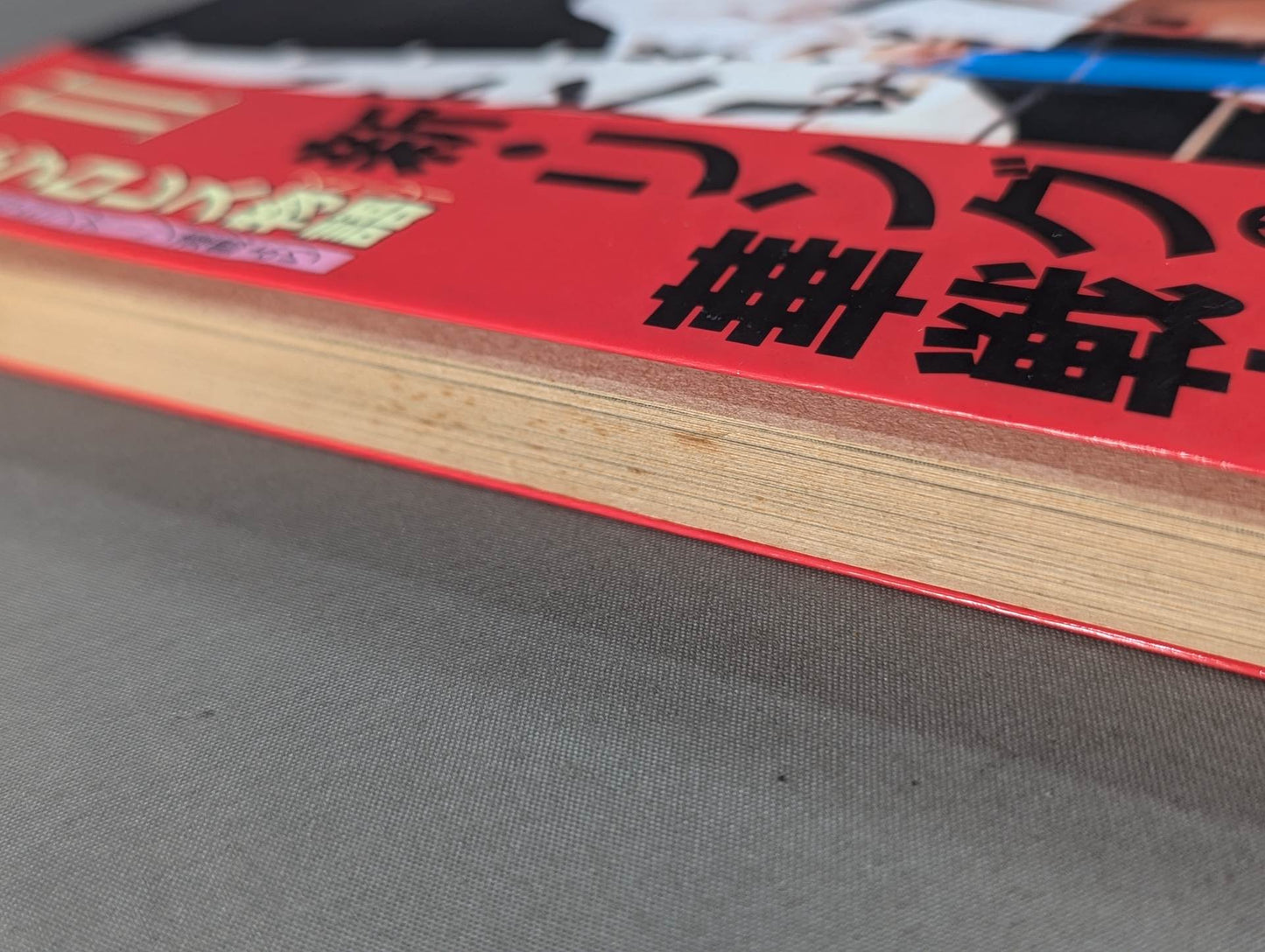 女子プロレス物語Ⅱ 新・リングの華戦士