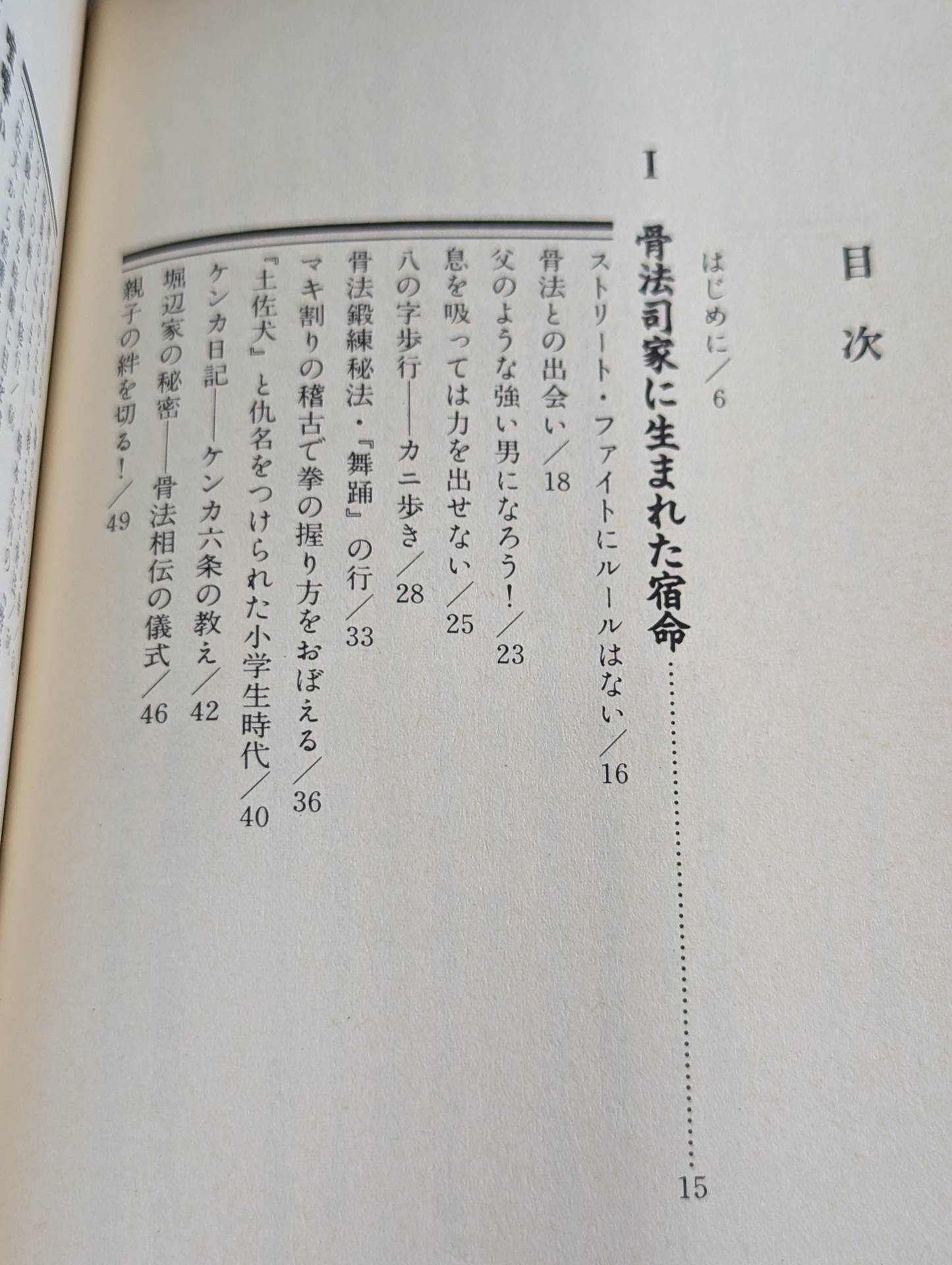 喧嘩芸骨法 現代に甦った最強の必殺拳法