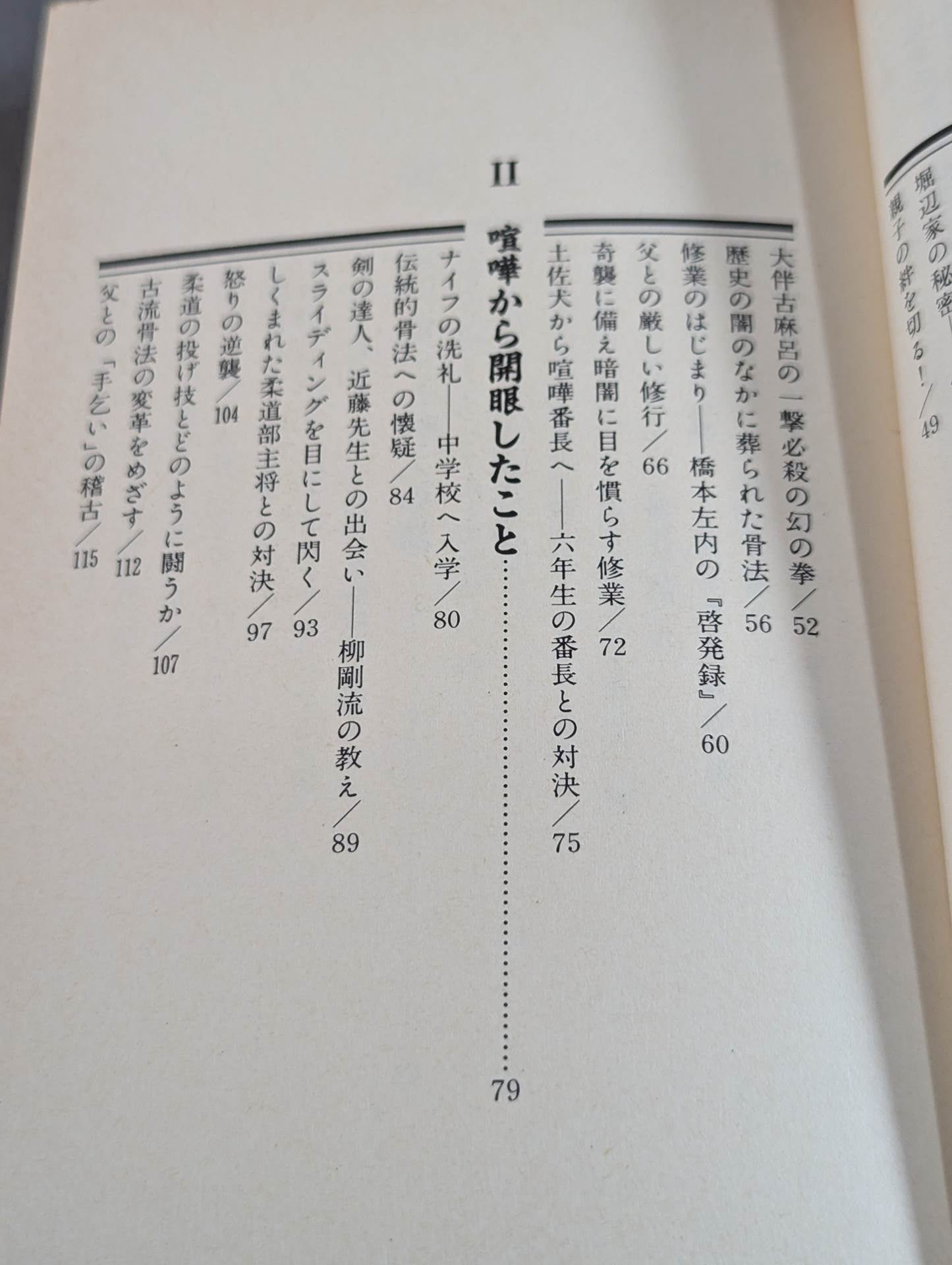 喧嘩芸骨法 現代に甦った最強の必殺拳法