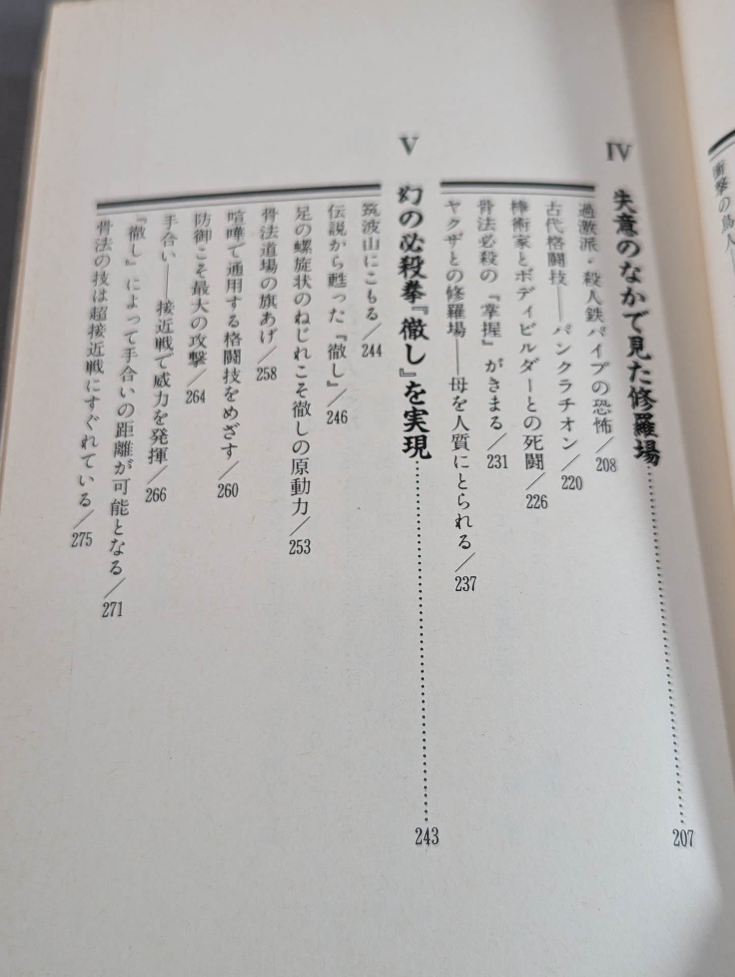 喧嘩芸骨法 現代に甦った最強の必殺拳法
