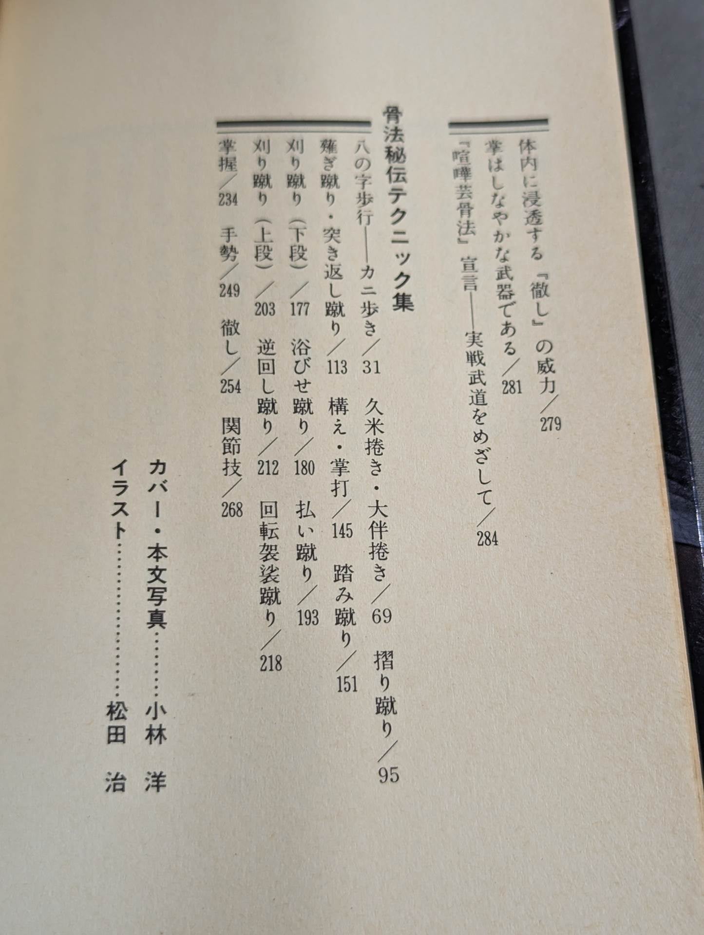 喧嘩芸骨法 現代に甦った最強の必殺拳法