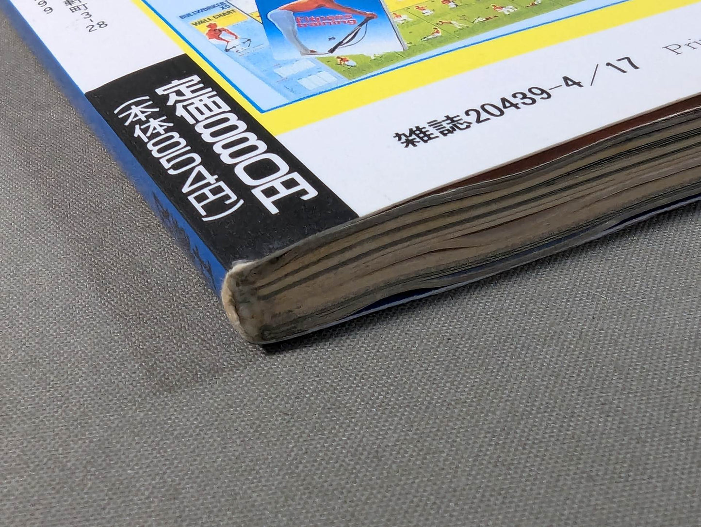 ラジカルプロレス新時代マガジンVol.1 超プロレス