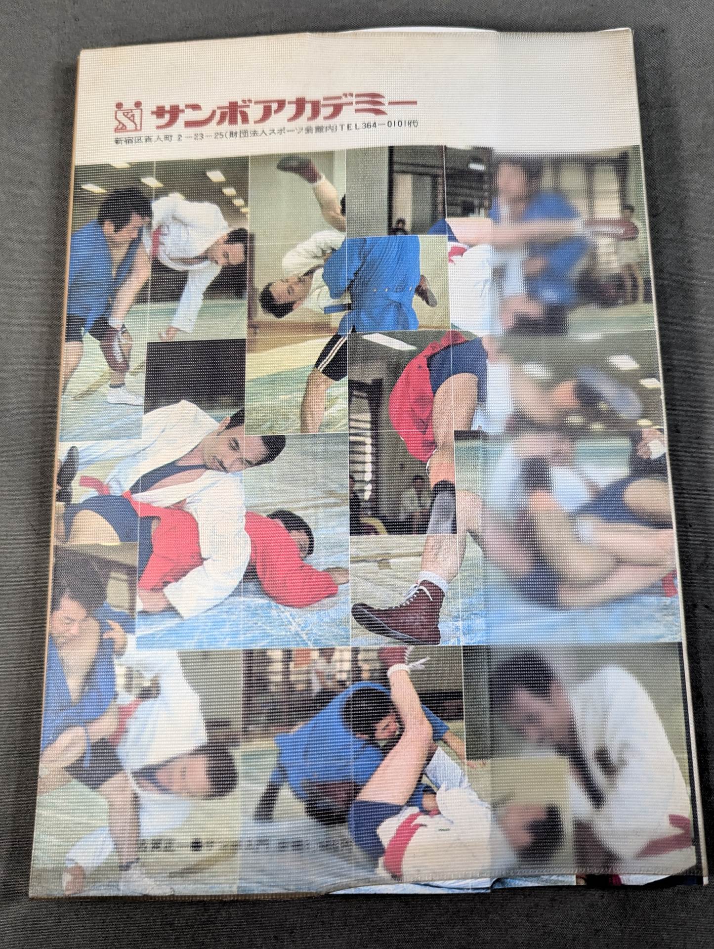 サンボ入門 格闘技への応用手引