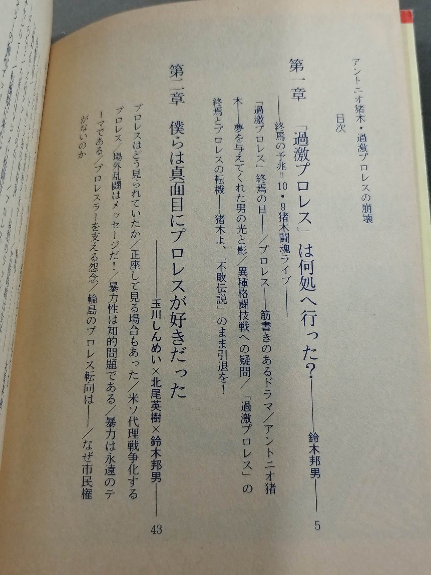 アントニオ猪木 過激プロレスの崩壊