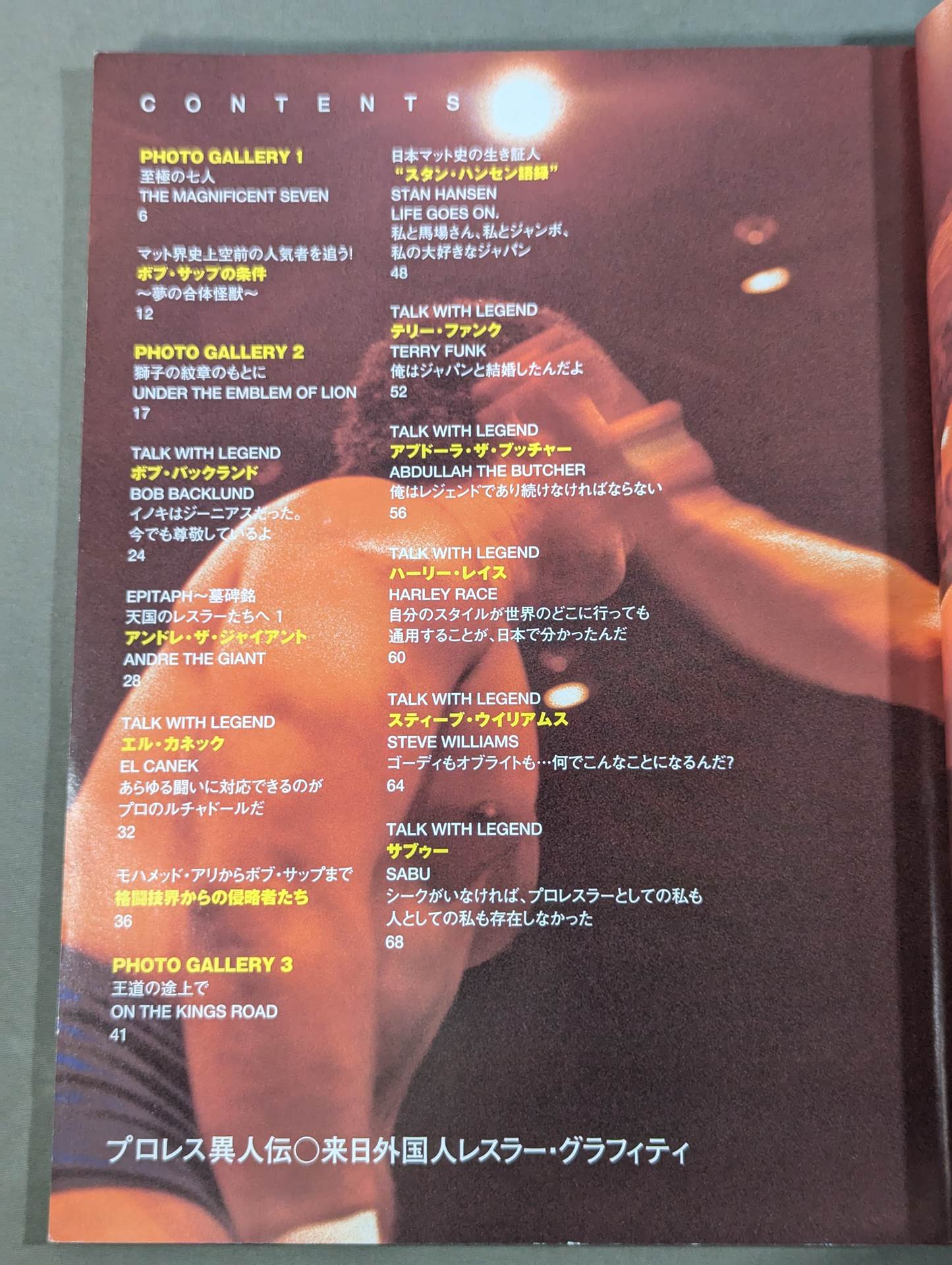 Pro Wrestling Foreign wrestler graffiti in Japan