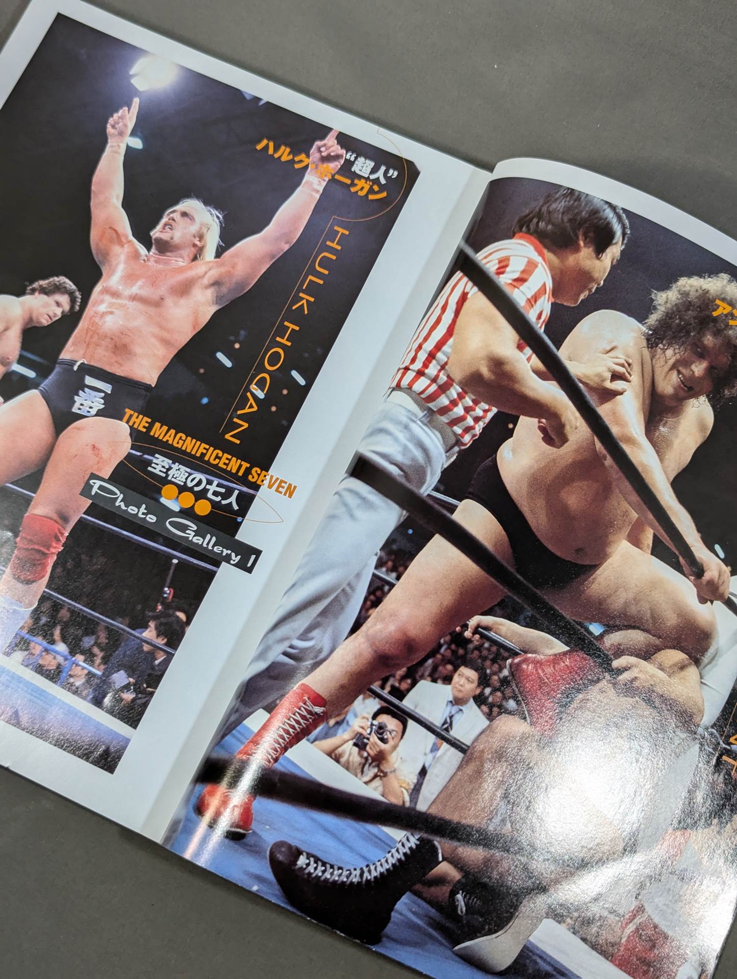 Pro Wrestling Foreign wrestler graffiti in Japan