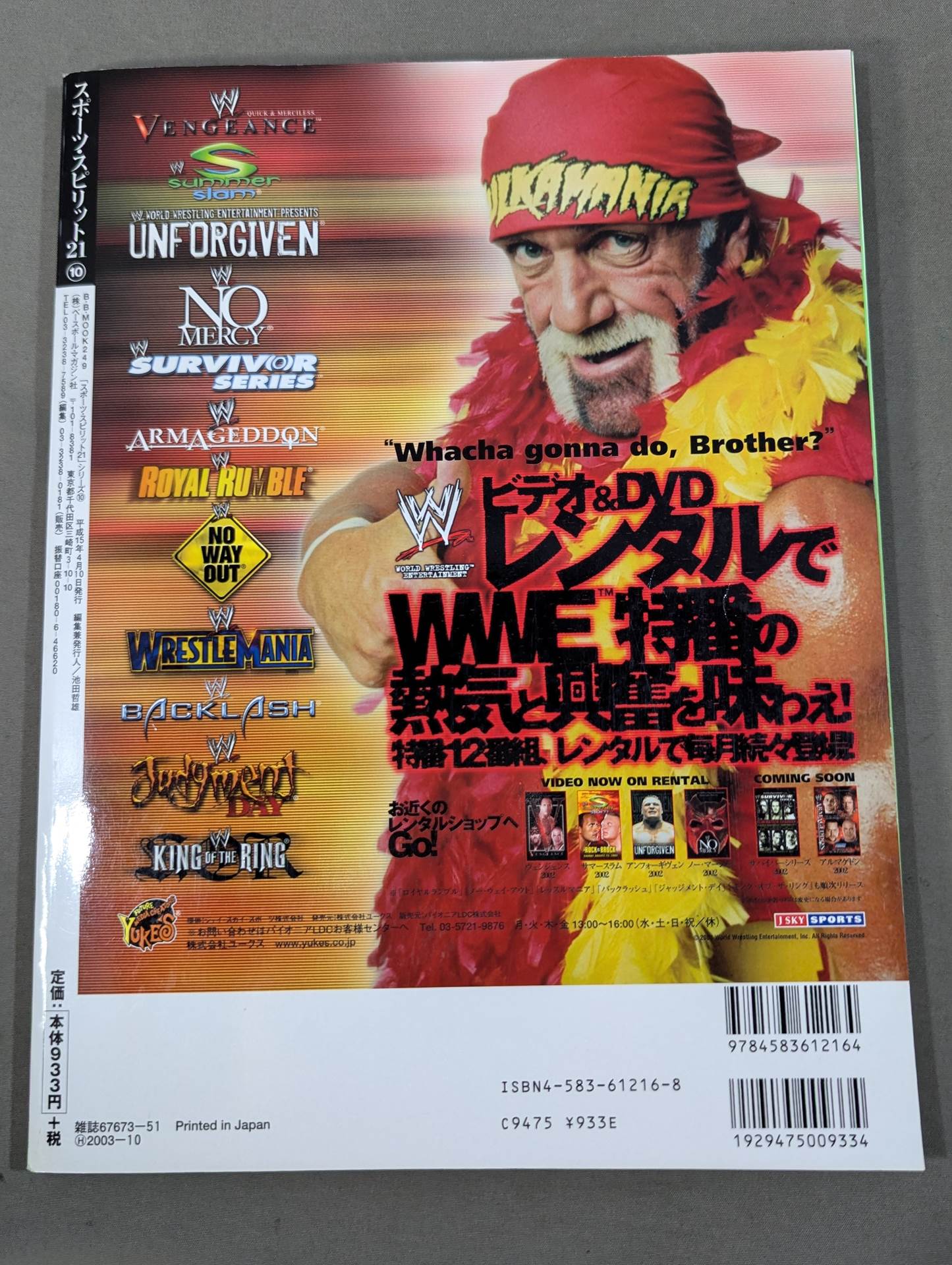 Pro Wrestling Foreign wrestler graffiti in Japan