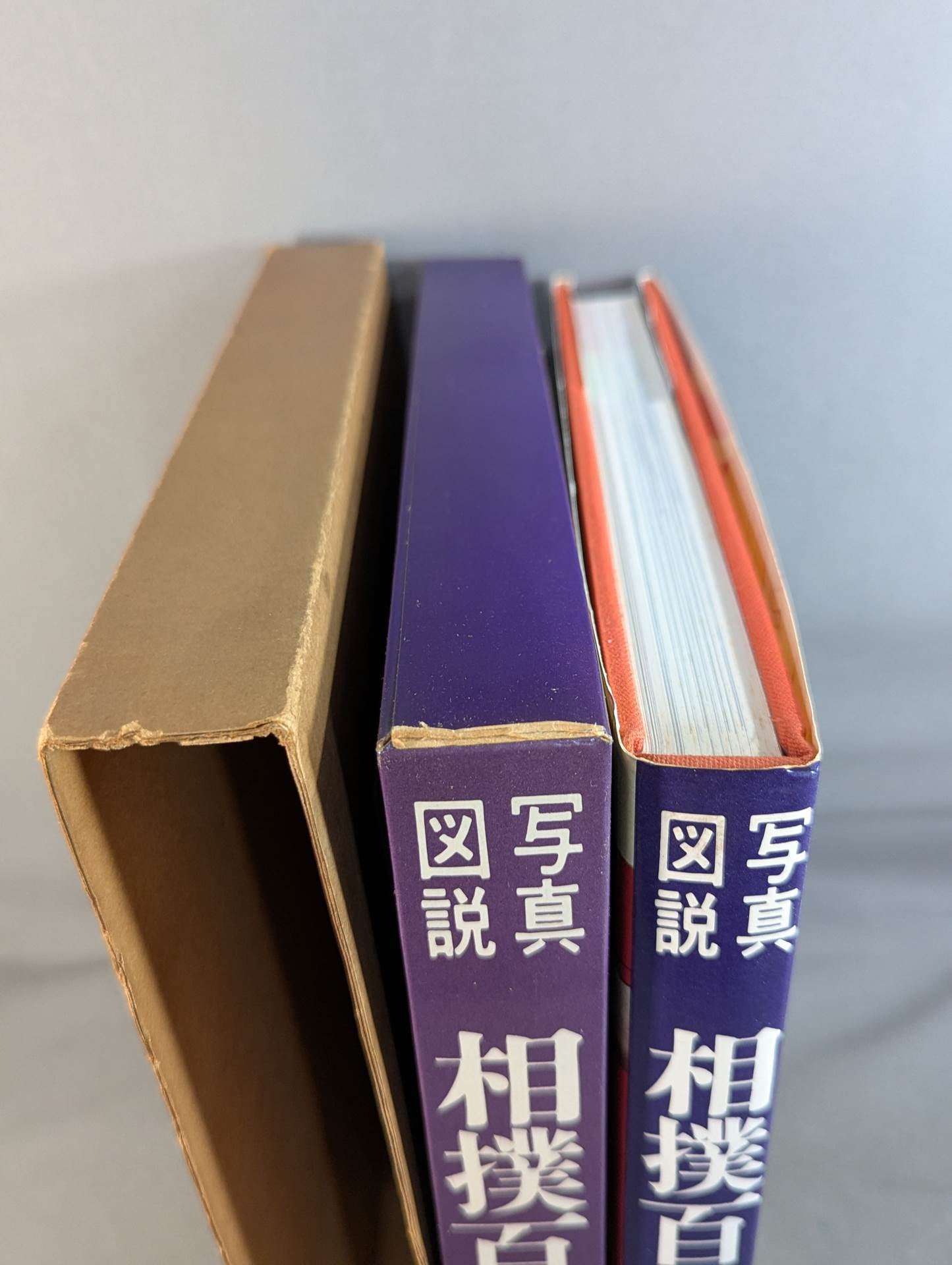 Photo illustration 100 years of history of sumo wrestling