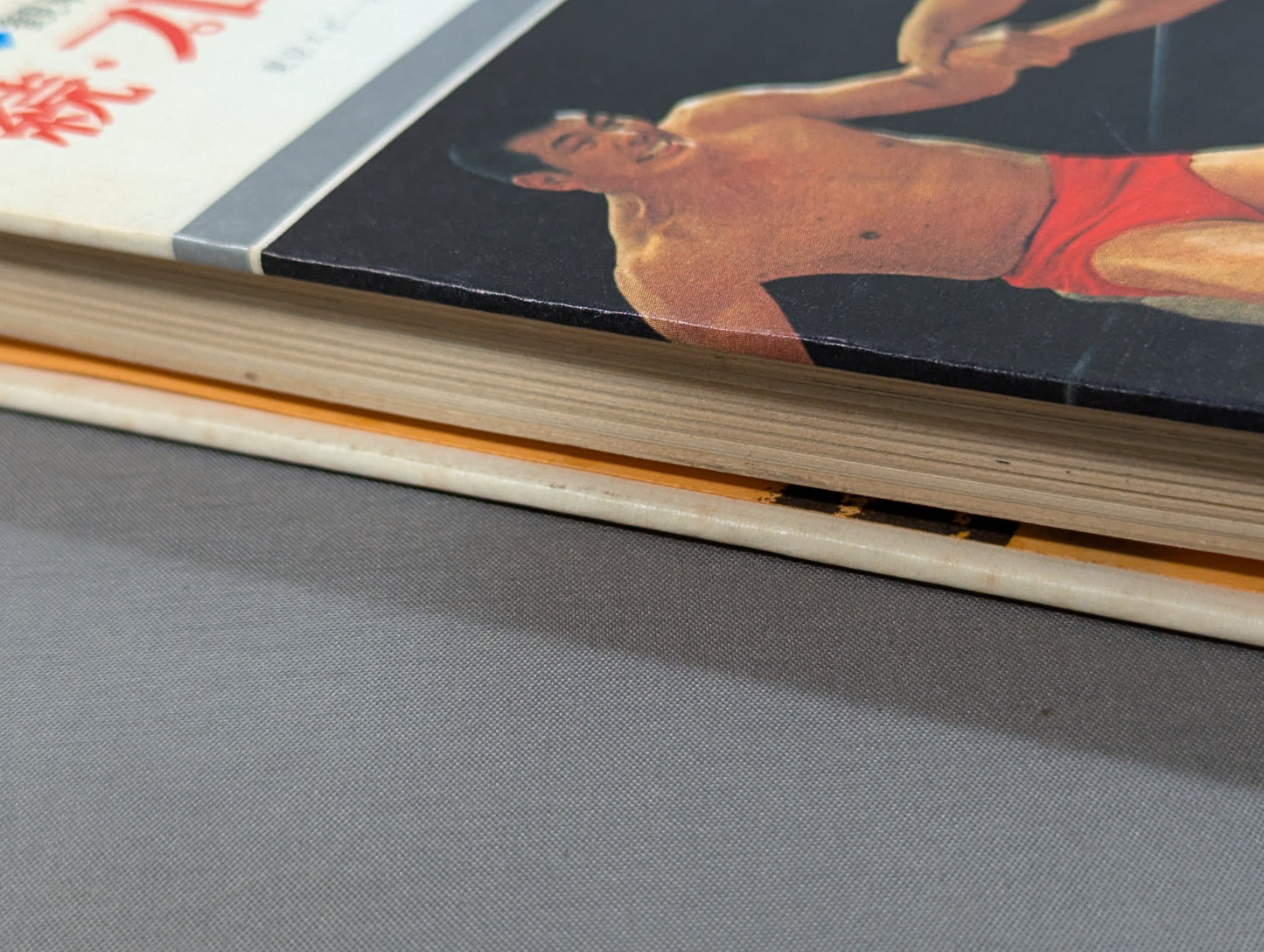 ◆観戦が楽しくなる◆ 続・プロレス入門 (カラー版ジュニア入門百科⑮)