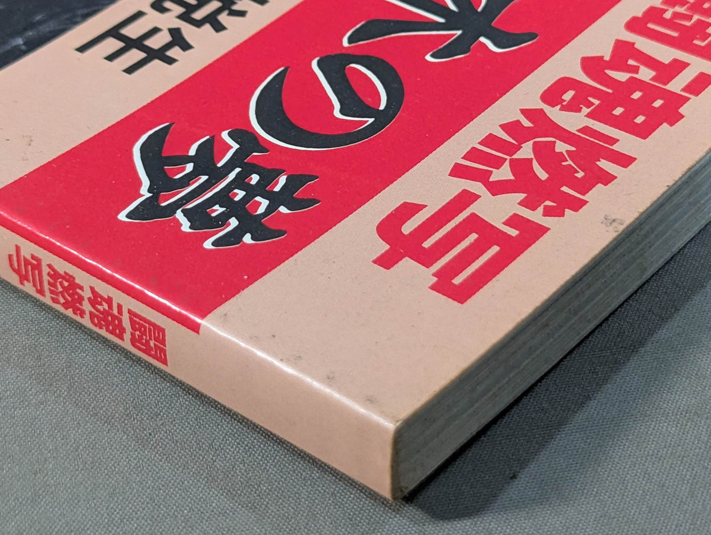 Fighting spirit burning Inoki 's dream