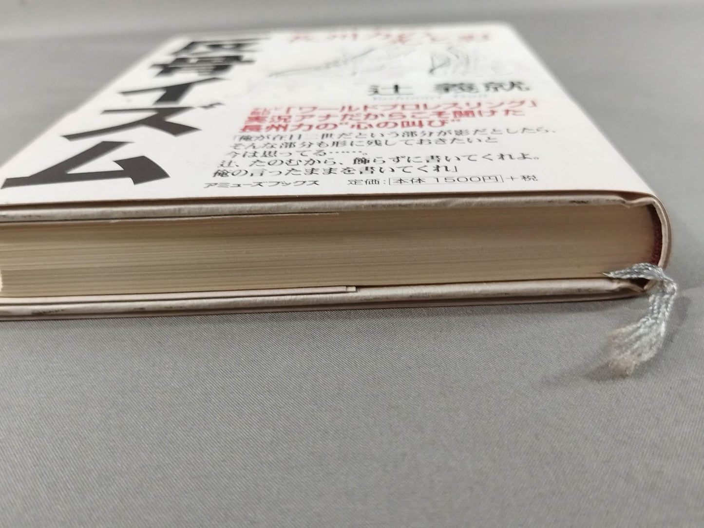 反骨イズム 長州力の光と影