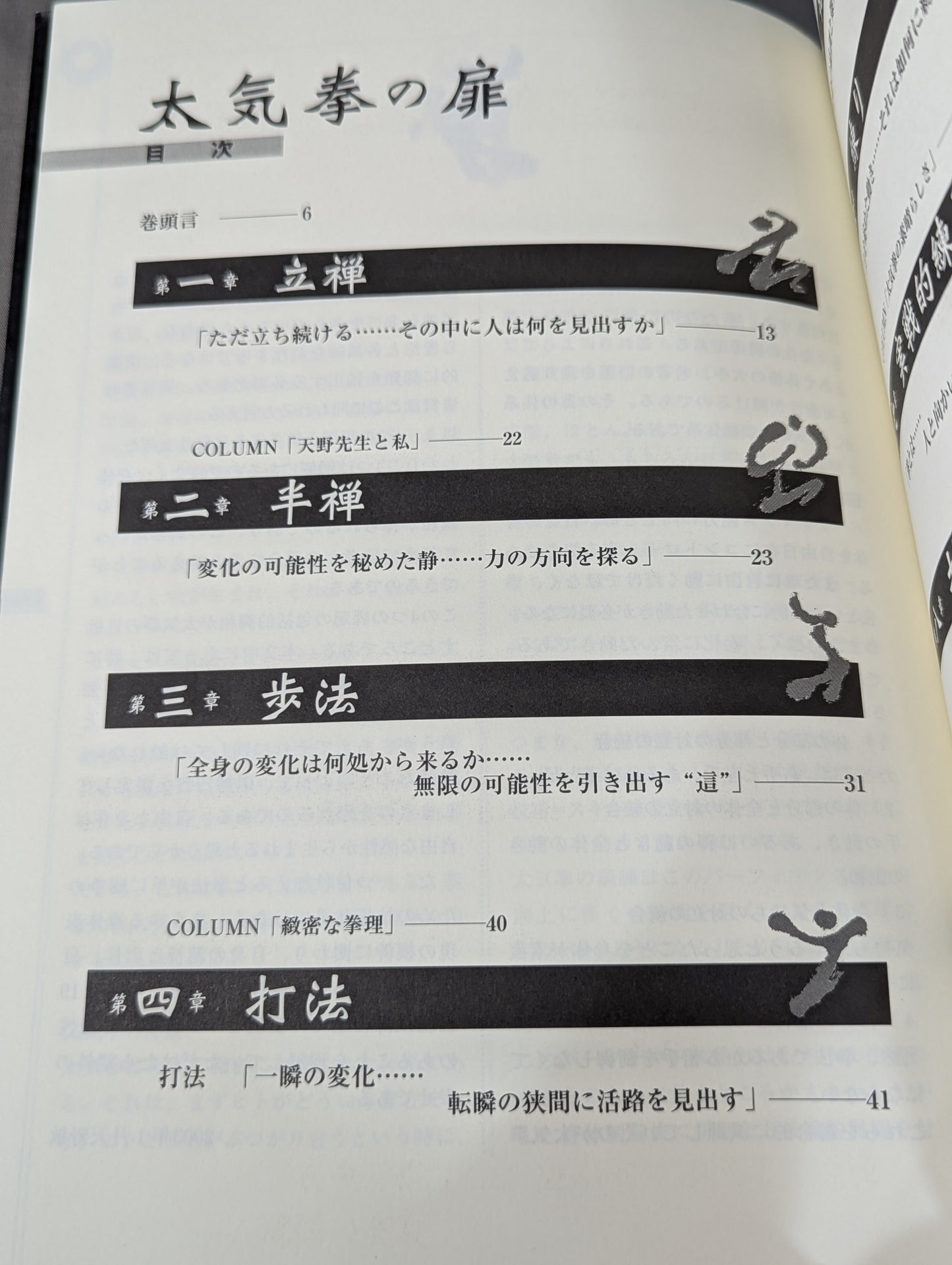The Door of Tai Chi From Kenichi Sawai to Satoshi Amano Now is the time for Tai Chi Chun to be revealed!